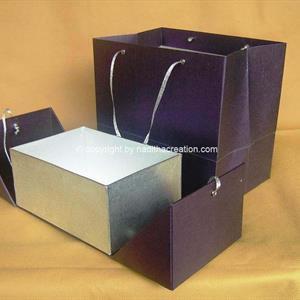 standard_box_017a